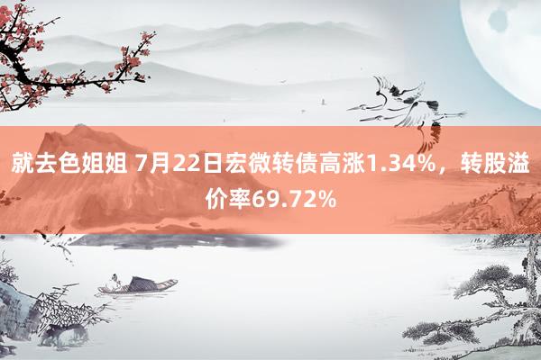 就去色姐姐 7月22日宏微转债高涨1.34%，转股溢价率69.72%