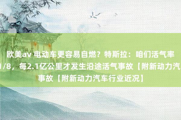 欧美av 电动车更容易自燃？特斯拉：咱们活气率仅为燃油车1/8，每2.1亿公里才发生沿途活气事故【附新动力汽车行业近况】