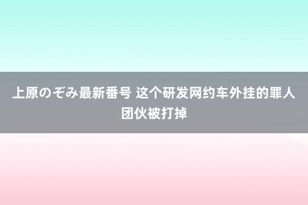 上原のぞみ最新番号 这个研发网约车外挂的罪人团伙被打掉