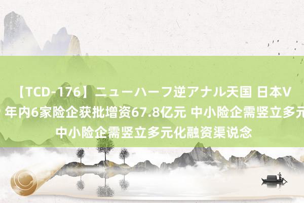 【TCD-176】ニューハーフ逆アナル天国 日本VS海外8時間SP 年内6家险企获批增资67.8亿元 中小险企需竖立多元化融资渠说念