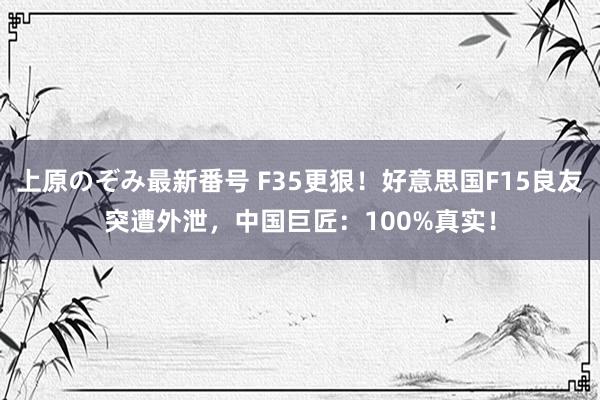 上原のぞみ最新番号 F35更狠！好意思国F15良友突遭外泄，中国巨匠：100%真实！