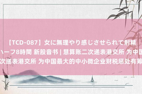 【TCD-087】女に無理やり感じさせられて射精までしてしまうニューハーフ8時間 新股音书 | 慧算账二次递表港交所 为中国最大的中小微企业财税惩处有筹办提供商