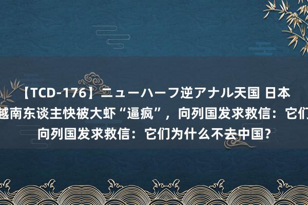 【TCD-176】ニューハーフ逆アナル天国 日本VS海外8時間SP 越南东谈主快被大虾“逼疯”，向列国发求救信：它们为什么不去中国？