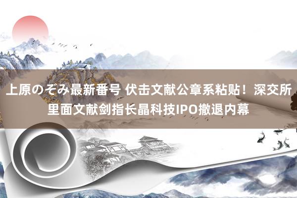 上原のぞみ最新番号 伏击文献公章系粘贴！深交所里面文献剑指长晶科技IPO撤退内幕