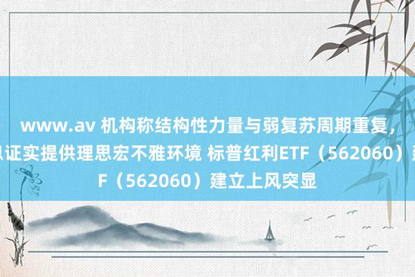 www.av 机构称结构性力量与弱复苏周期重复，或可为高股息证实提供理思宏不雅环境 标普红利ETF（562060）建立上风突显