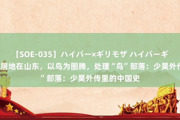 【SOE-035】ハイパー×ギリモザ ハイパーギリモザ Ami 居地在山东，以鸟为图腾，处理“鸟”部落：少昊外传里的中国史