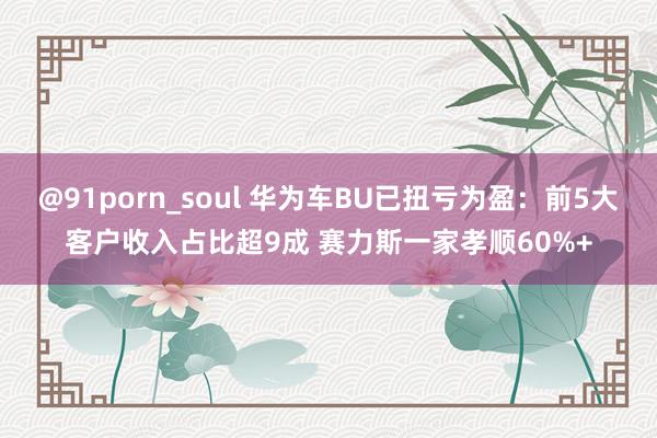 @91porn_soul 华为车BU已扭亏为盈：前5大客户收入占比超9成 赛力斯一家孝顺60%+