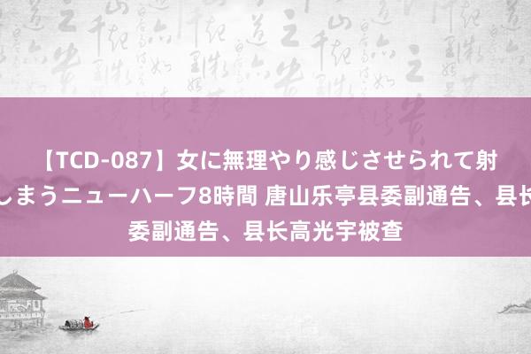 【TCD-087】女に無理やり感じさせられて射精までしてしまうニューハーフ8時間 唐山乐亭县委副通告、县长高光宇被查