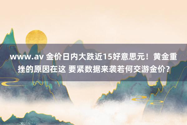 www.av 金价日内大跌近15好意思元！黄金重挫的原因在这 要紧数据来袭若何交游金价？