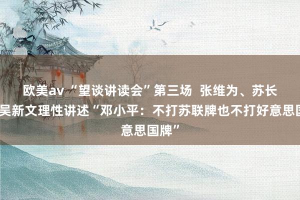 欧美av “望谈讲读会”第三场  张维为、苏长和、吴新文理性讲述“邓小平：不打苏联牌也不打好意思国牌”