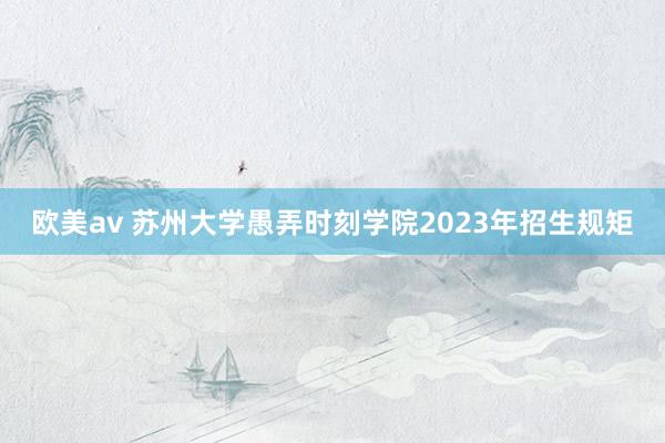 欧美av 苏州大学愚弄时刻学院2023年招生规矩