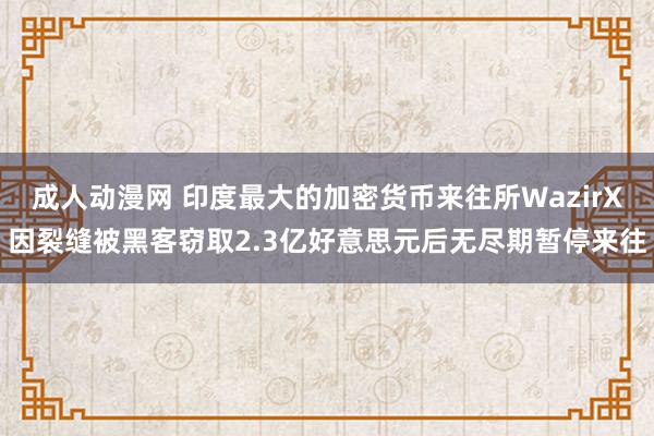 成人动漫网 印度最大的加密货币来往所WazirX因裂缝被黑客窃取2.3亿好意思元后无尽期暂停来往