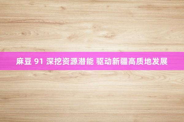 麻豆 91 深挖资源潜能 驱动新疆高质地发展